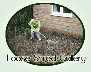 Loose shred gallery